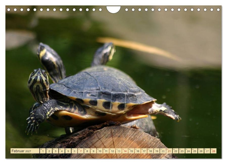 InsideView 7