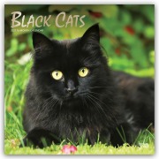 Cover-Bild zum Titel 'Black Cats - Schwarze Katzen 2027 - 16-Monatskalender' von 'Browntrout Publishers'