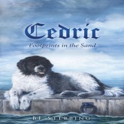 Cover-Bild zum Titel 'Cedric' von 'Bf Stebbing'