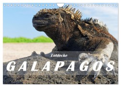 Cover-Bild zum Titel 'Entdecke Galapagos (Wandkalender 2026 DIN A4 quer), CALVENDO Monatskalender' von 'Askson Vargard'