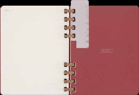 InsideView 6