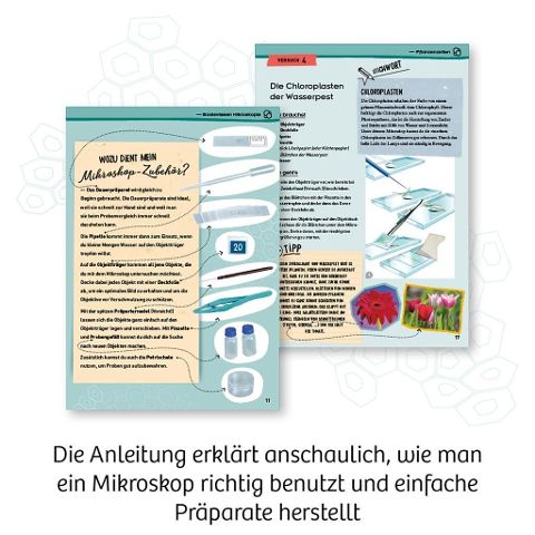 InsideView 4