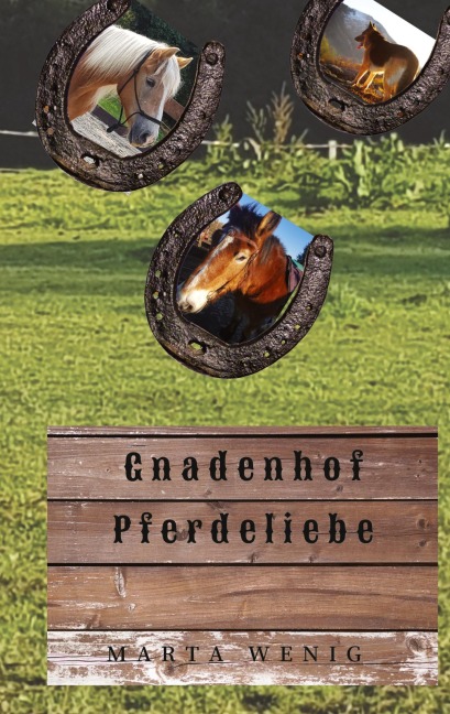 Gnadenhof Pferdeliebe - Marta Wenig