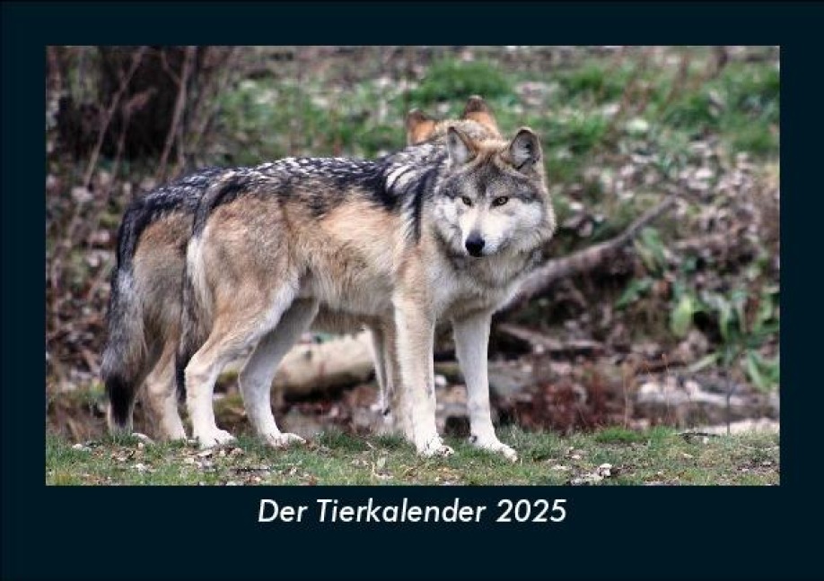 Der Tierkalender 2025 Fotokalender DIN A5 - Tobias Becker