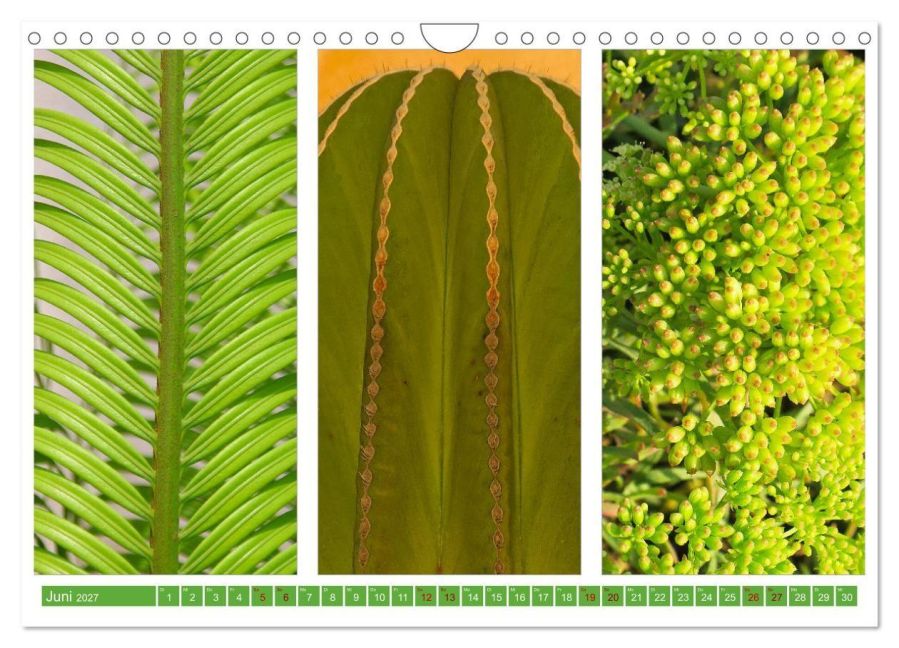 InsideView 11