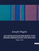 Cover-Bild zum Titel 'ZUCHTHAUSGESCHICHTEN VON EINEM EHEMALIGEN ZÜCHTLING' von 'Joseph Hägele'