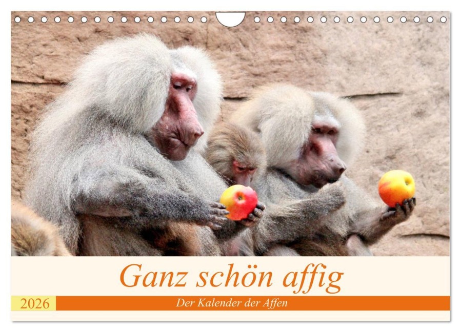 Ganz schön affig - Der Kalender der Affen (Wandkalender 2026 DIN A4 quer), CALVENDO Monatskalender - Arno Klatt