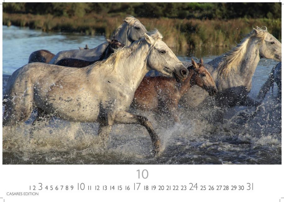 InsideView 10