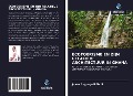 Cover-Bild zum Titel 'ECOTOERISME EN ZIJN RELATIEVE ARCHITECTUUR IN GHANA' von 'Joyce Angnayeli Eledi'