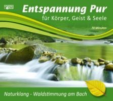 Naturklang-Waldstimmung am Bach - Entspannung Pur