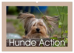Hunde Action (Wandkalender 2026 DIN A2 quer), CALVENDO Monatskalender - Wiebke von der Heyde