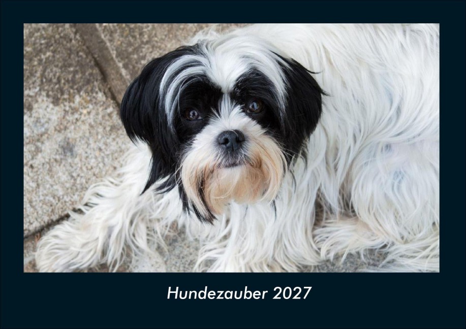 Hundezauber 2027 Fotokalender DIN A4 - Tobias Schmitt, Kevin Heber