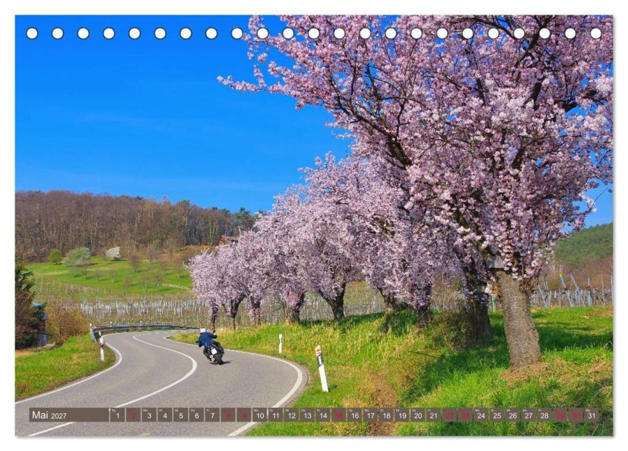 InsideView 10