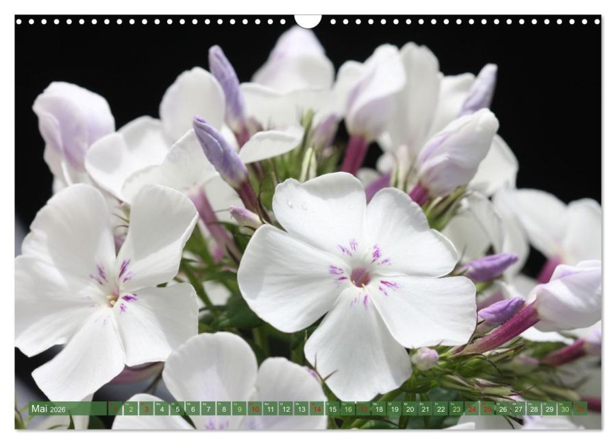 InsideView 10