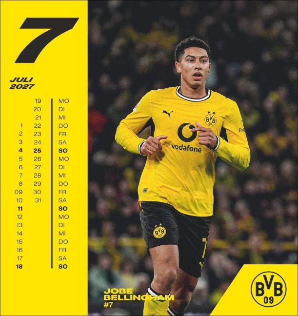 InsideView 7