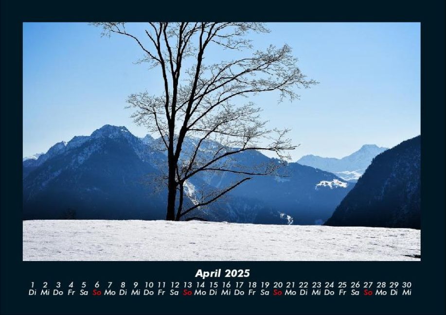 InsideView 8