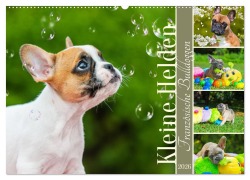 Cover-Bild zum Titel 'Kleine Helden - Französische Bulldoggen (Wandkalender 2026 DIN A2 quer), CALVENDO Monatskalender' von 'Sigrid Starick'