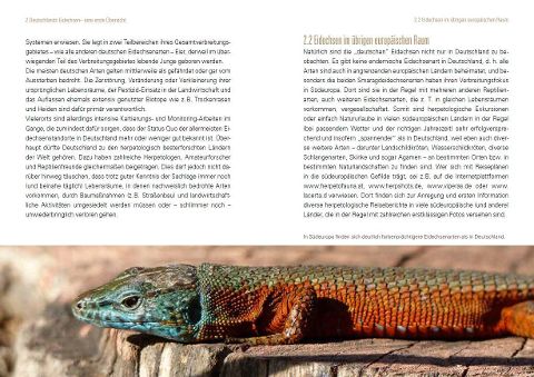 InsideView 5
