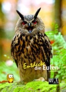 Cover-Bild zum Titel 'Entdecke die Eulen' von 'Thomas Schmidt'