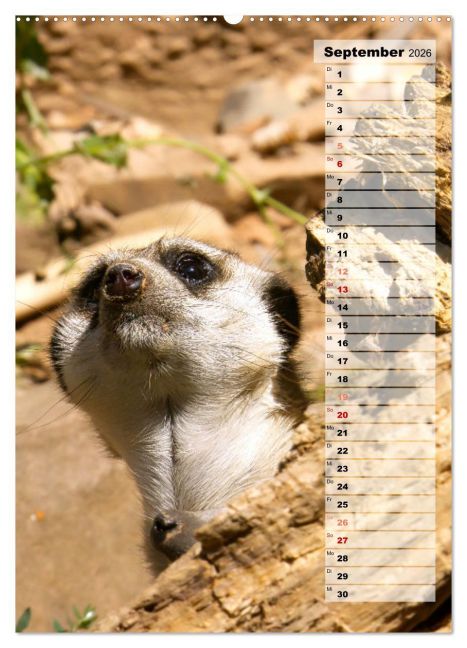 InsideView 13
