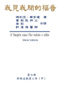 Cover-Bild zum Titel 'The Gospel As Revealed to Me (Vol 7) - Traditional Chinese Edition' von 'Maria Valtorta, Hon-Wai Hui, ¿¿¿'