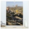 Ansichten aus Kappadokien (hochwertiger Premium Wandkalender 2025 DIN A2 hoch), Kunstdruck in Hochglanz - Roland Irlenbusch