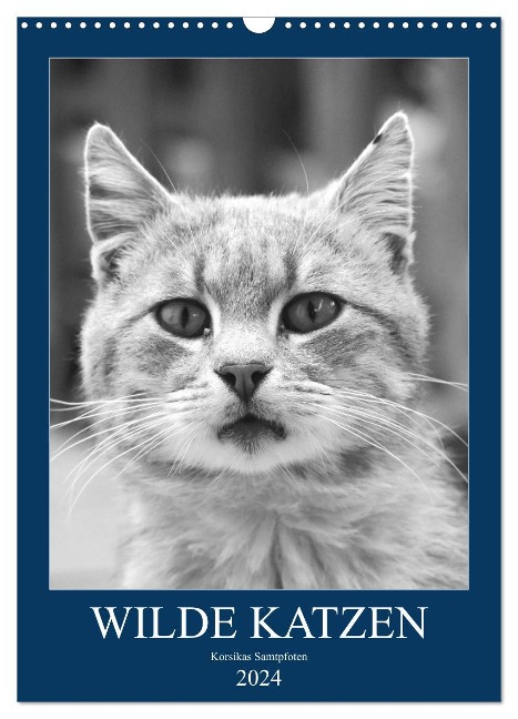 Wilde Katzen - Korsikas Samtpfoten (Wandkalender 2024 DIN A3 hoch), CALVENDO Monatskalender - Claudia Schimmack
