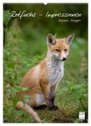 Cover-Bild zum Titel 'Rotfuchs - Impressionen (Wandkalender 2026 DIN A2 hoch), CALVENDO Monatskalender' von 'Susanne Danegger'