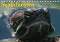 Schildkröten (Tischkalender immerwährend DIN A5 quer) - Elisabeth Stanzer