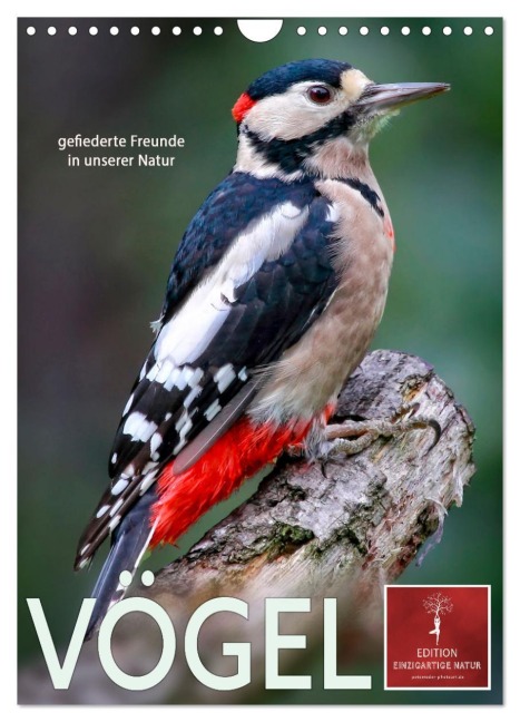 Vögel - gefiederte Freunde in unserer Natur (Wandkalender 2026 DIN A4 hoch), CALVENDO Monatskalender - Peter Roder