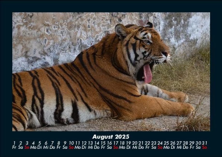 InsideView 12
