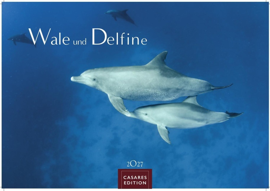 Wale und Delfine Kalender 2027 - Wandkalender | Fotokalender Tierkalender 35x50cm Grosses Format - Hochwertige Fotografien von Walen und Delfinen, die jeden Monat begeistern. - 