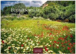 Blumenwiese 2026 S 24x35cm - 