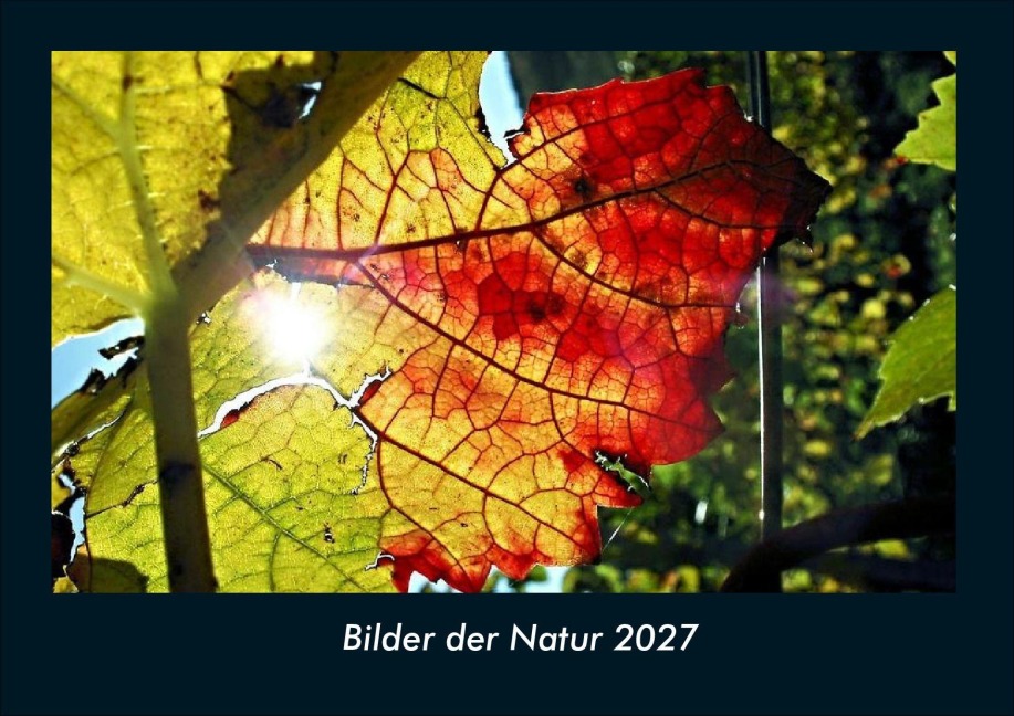 Bilder der Natur 2027 Fotokalender DIN A4 - Tobias Schmitt, Kevin Heber