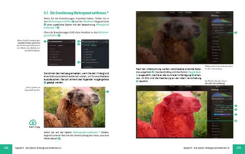 InsideView 7