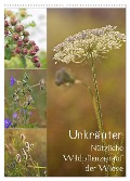 Unkräuter - Nützliche Wildpflanzen auf der Wiese (Wandkalender 2024 DIN A2 hoch), CALVENDO Monatskalender - Drachenkind-Fotografie Drachenkind-Fotografie