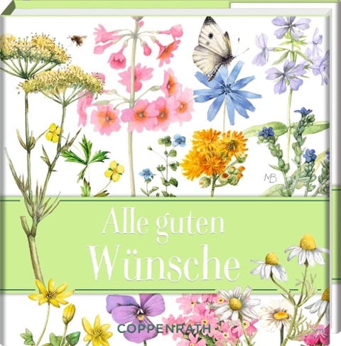 Alle guten Wünsche - 