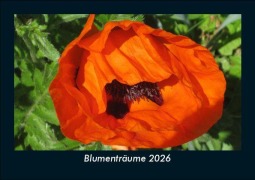 Cover-Bild zum Titel 'Blumenträume 2026 Fotokalender DIN A5' von 'Tobias Becker'
