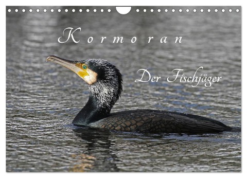 Kormoran. Der Fischjäger (Wandkalender 2024 DIN A4 quer), CALVENDO Monatskalender - Klaus Konieczka