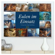 Cover-Bild zum Titel 'Eulen im Einsatz - 365 Tage voller schräger Federführung (hochwertiger Premium Wandkalender 2026 DIN A2 quer), Kunstdruck in Hochglanz' von 'Rupert Kowalski'