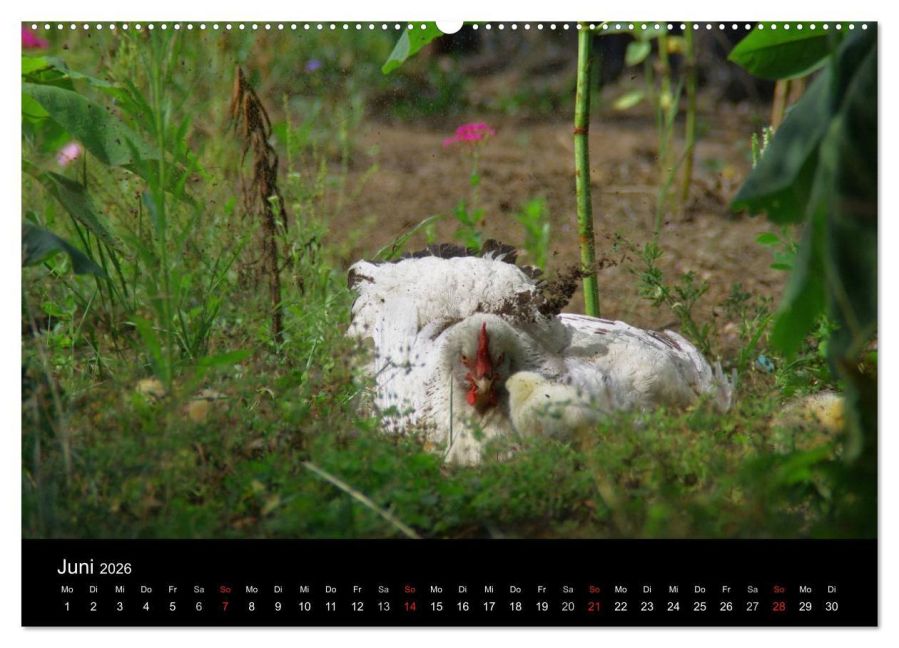 InsideView 10