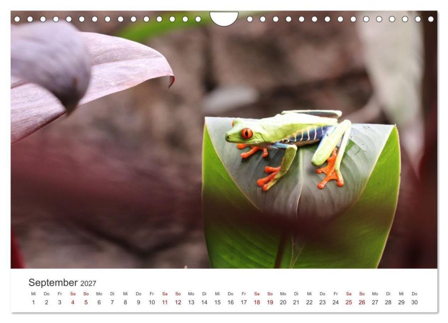 InsideView 14