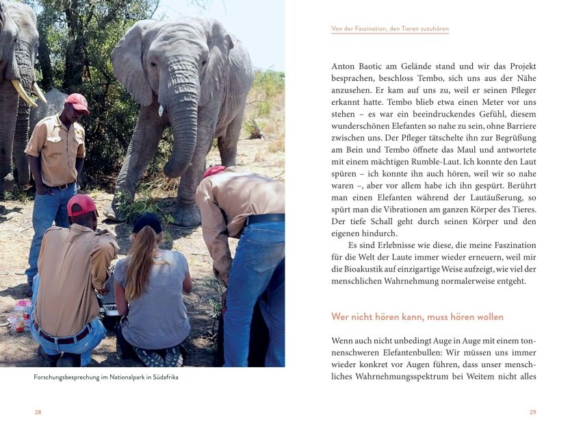 InsideView 13