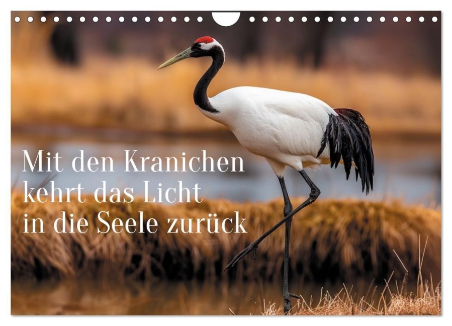 Mit den Kranichen kehrt das Licht in die Seele zurück (Wandkalender 2027 DIN A4 quer), CALVENDO Monatskalender - Anne Seltmann