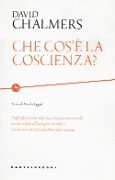Che cos'è la coscienza? - David Chalmers
