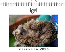 Cover-Bild zum Titel 'Igel' von 'Lucy Koch'
