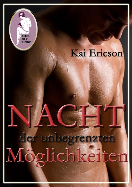 Nacht der unbegrenzten Möglichkeiten - Kai Ericson