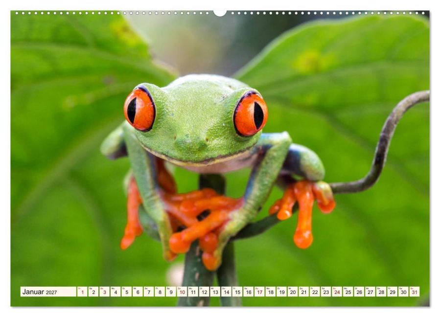 InsideView 5