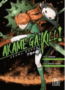 Cover-Bild zum Titel 'Akame, Keser 8' von 'Takahiro'