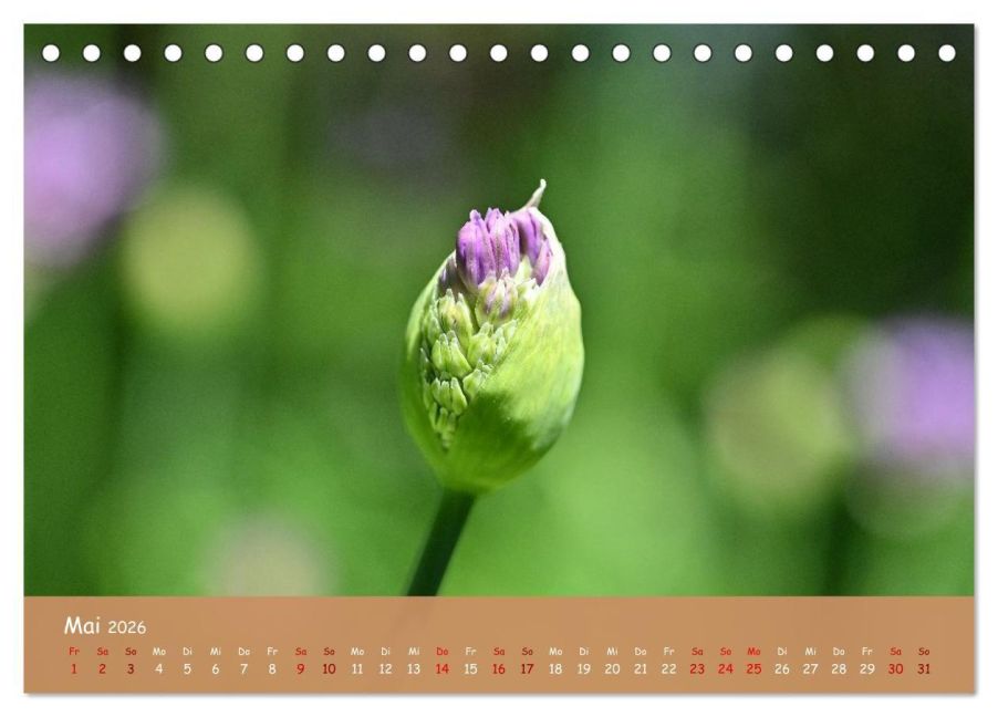 InsideView 10